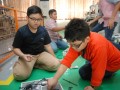Tn 241 DSC 5918